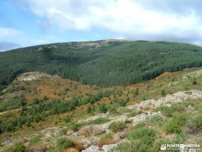 Dehesa Bonita-Abedular Somosierra;parque nacional ordesa viajes mayores comunidad de madrid brújula